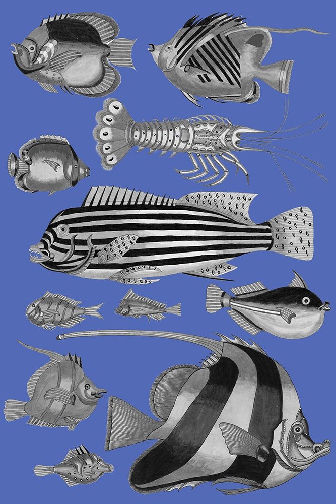 Tropical Fish Collage 1-Blue Blackground art print by Louis Renard for $57.95 CAD