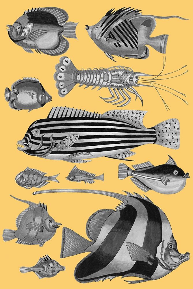 Tropical Fish Collage 1-Yellow Background art print by Louis Renard for $57.95 CAD