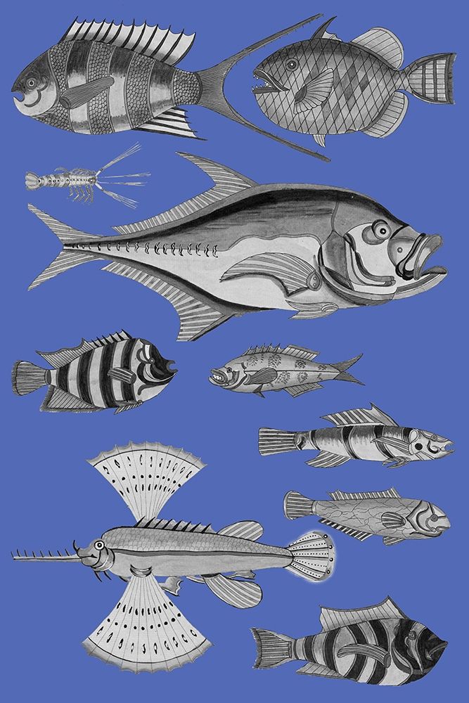 Tropical Fish Collage 2-Blue Background art print by Louis Renard for $57.95 CAD