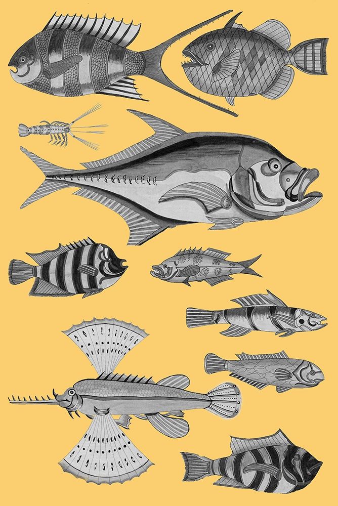 Tropical Fish Collage 2-Yellow Background art print by Louis Renard for $57.95 CAD