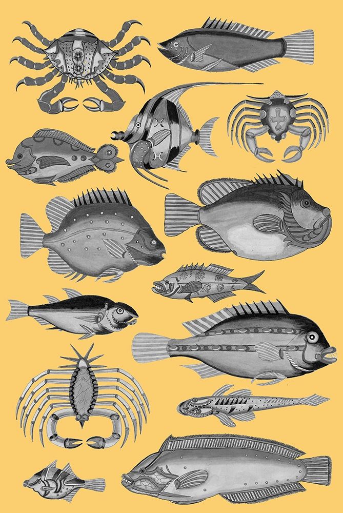 Tropical Fish Collage 3-Yellow Background art print by Louis Renard for $57.95 CAD