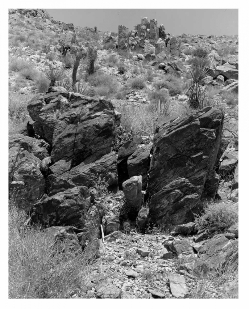 Twentynine Palms, San Bernadino, c1910 art print by Anonymous for $57.95 CAD