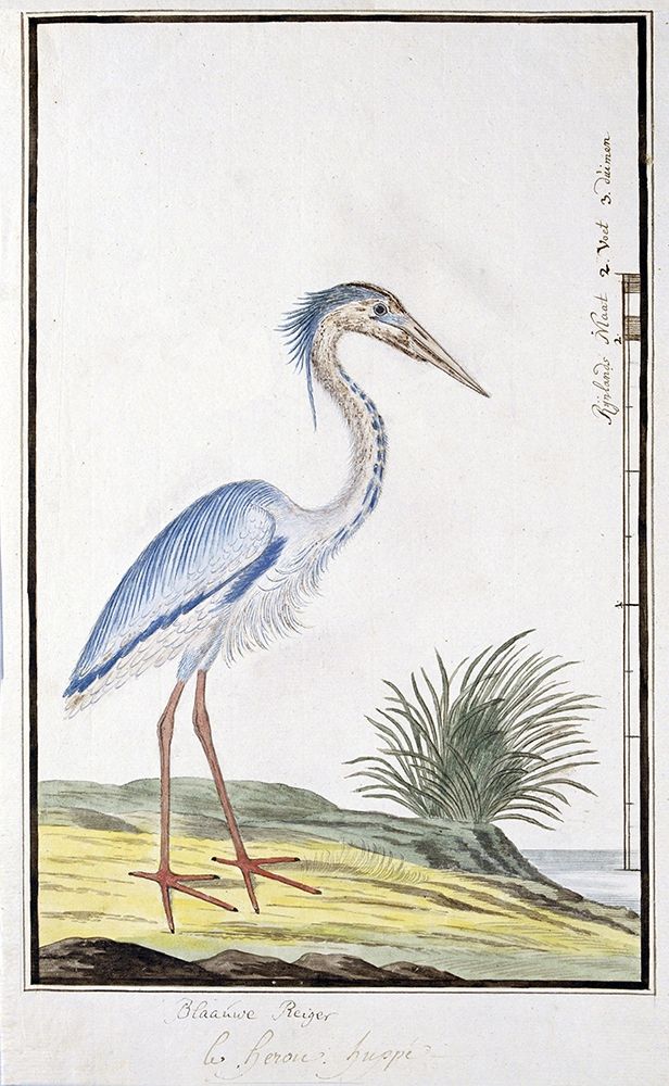 Heron art print by Robert James Gordon for $57.95 CAD