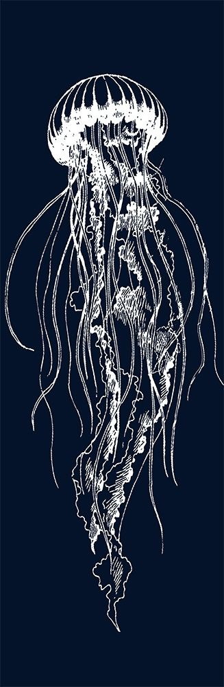WHITE JELLYFISH ILLUSTRATION art print by Atelier B Art Studio for $57.95 CAD