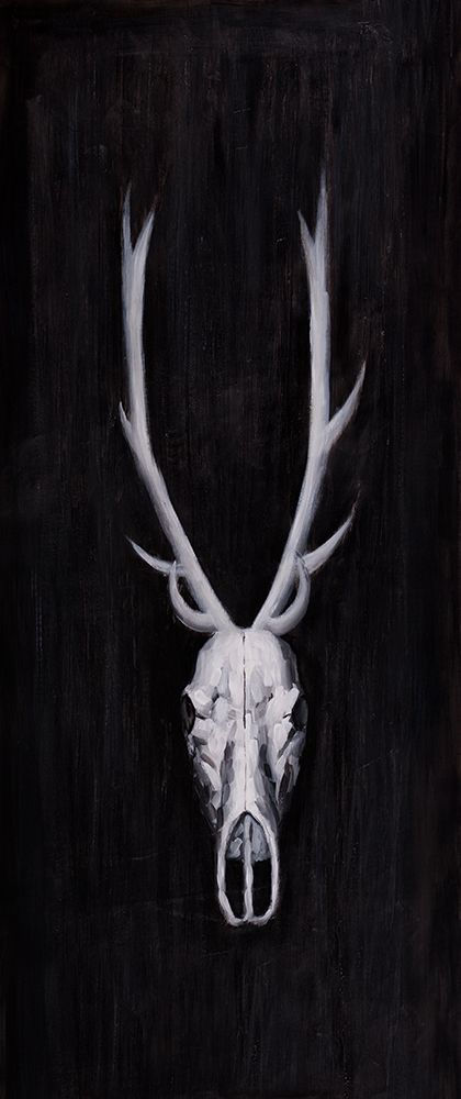 DEER SKULL ON BLACK BACKGROUND art print by Atelier B Art Studio for $57.95 CAD