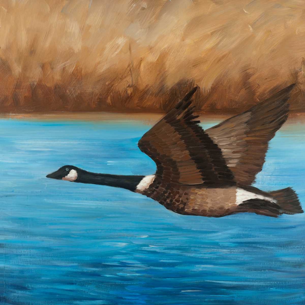 Flying Bustard art print by Atelier B Art Studio for $57.95 CAD
