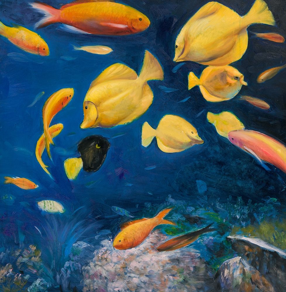 FISH UNDER THE SEA art print by Atelier B Art Studio for $57.95 CAD