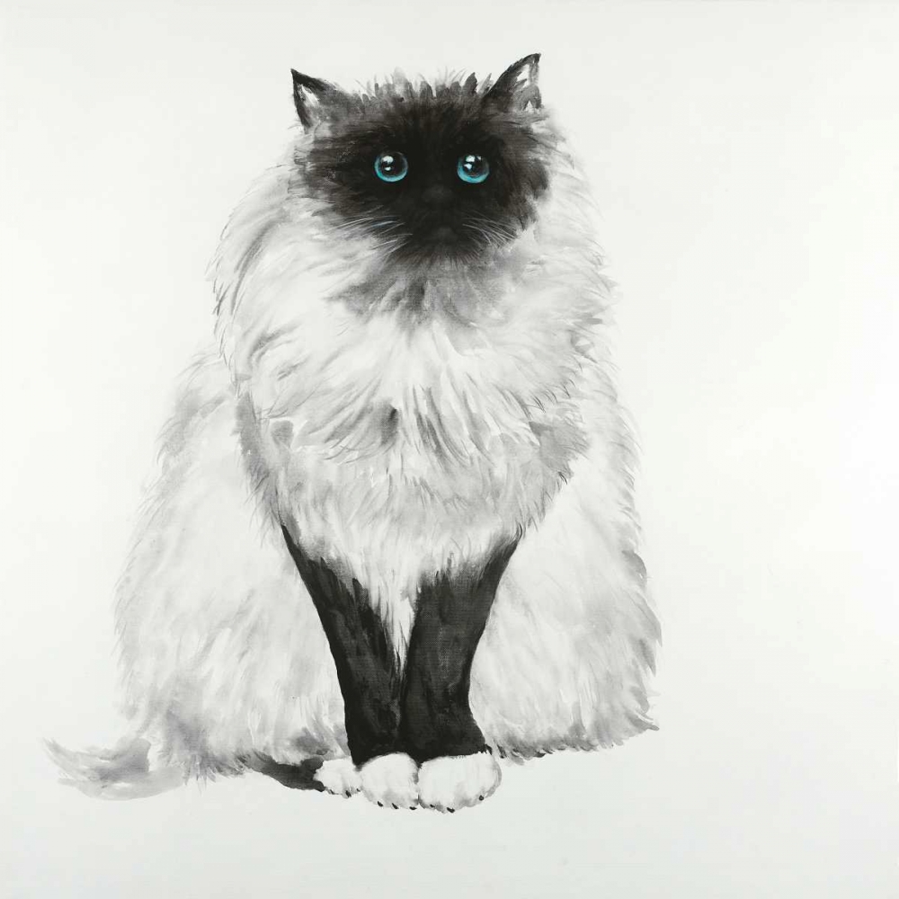 Blue Eyes Fluffy Siamese Cat art print by Atelier B Art Studio for $57.95 CAD