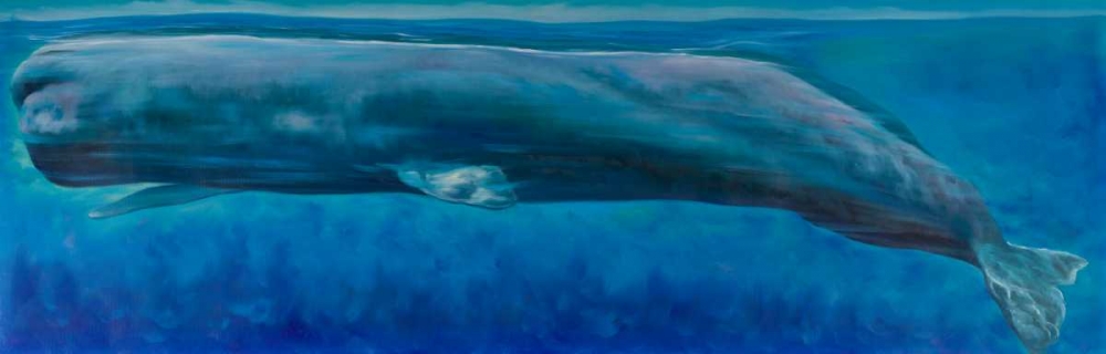 Sperm Whale art print by Atelier B Art Studio for $57.95 CAD
