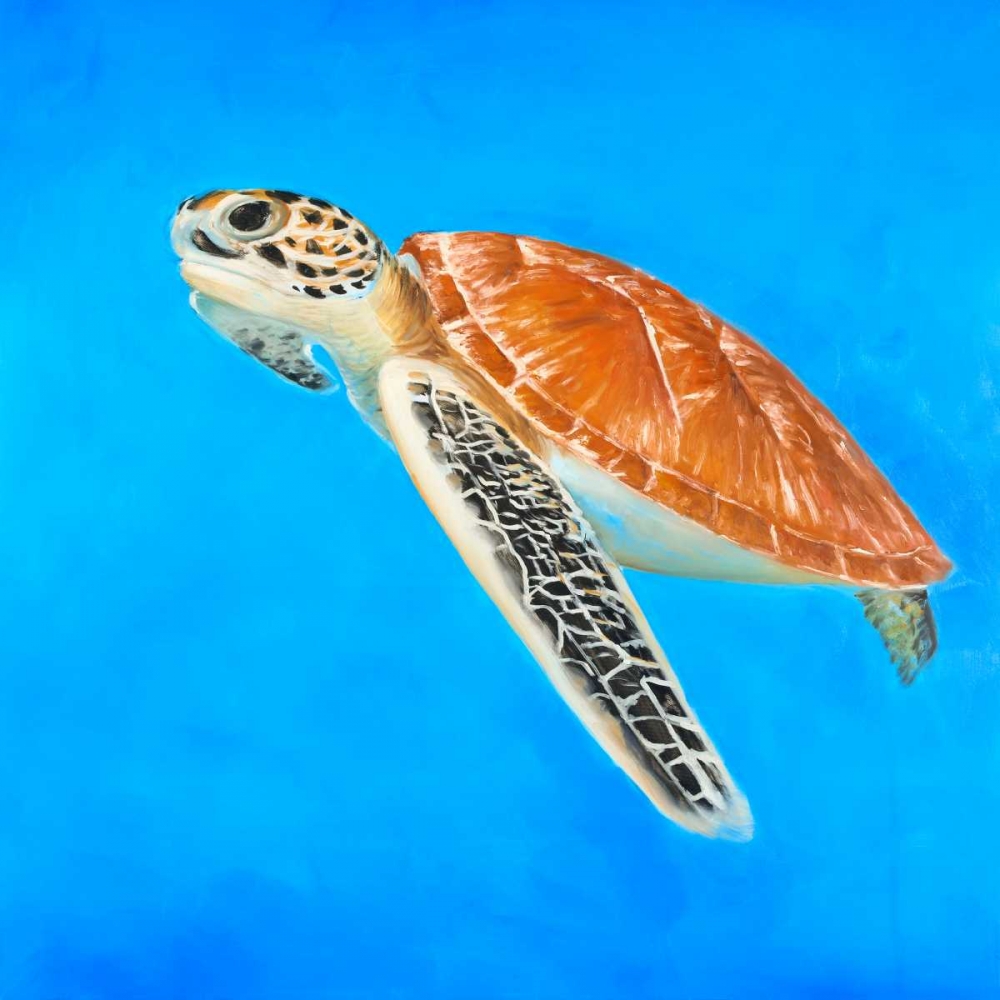 Sea Turtle art print by Atelier B Art Studio for $57.95 CAD