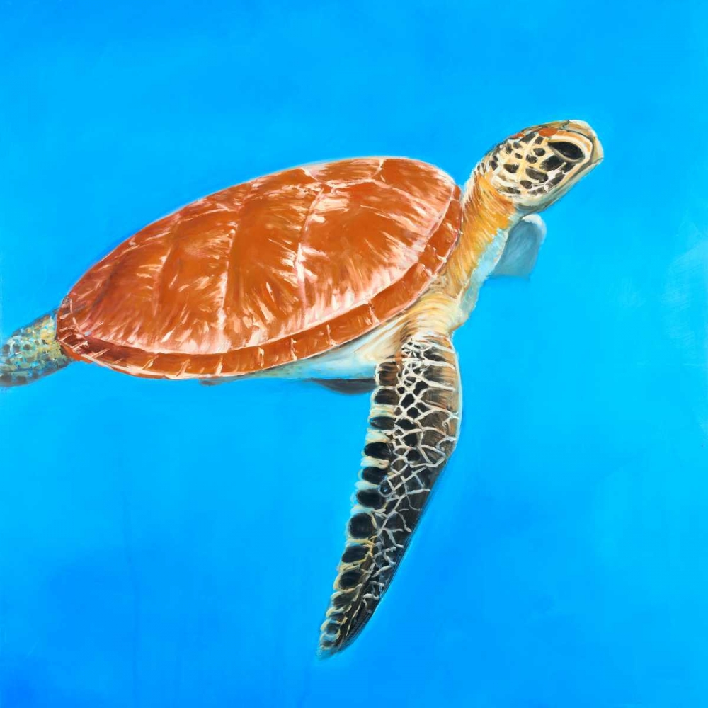 Green Aquatic Turtle art print by Atelier B Art Studio for $57.95 CAD