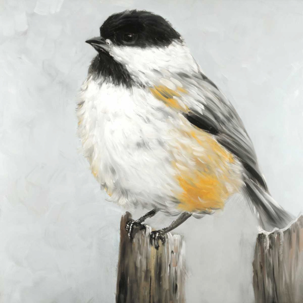Coal Tit Bird art print by Atelier B Art Studio for $57.95 CAD