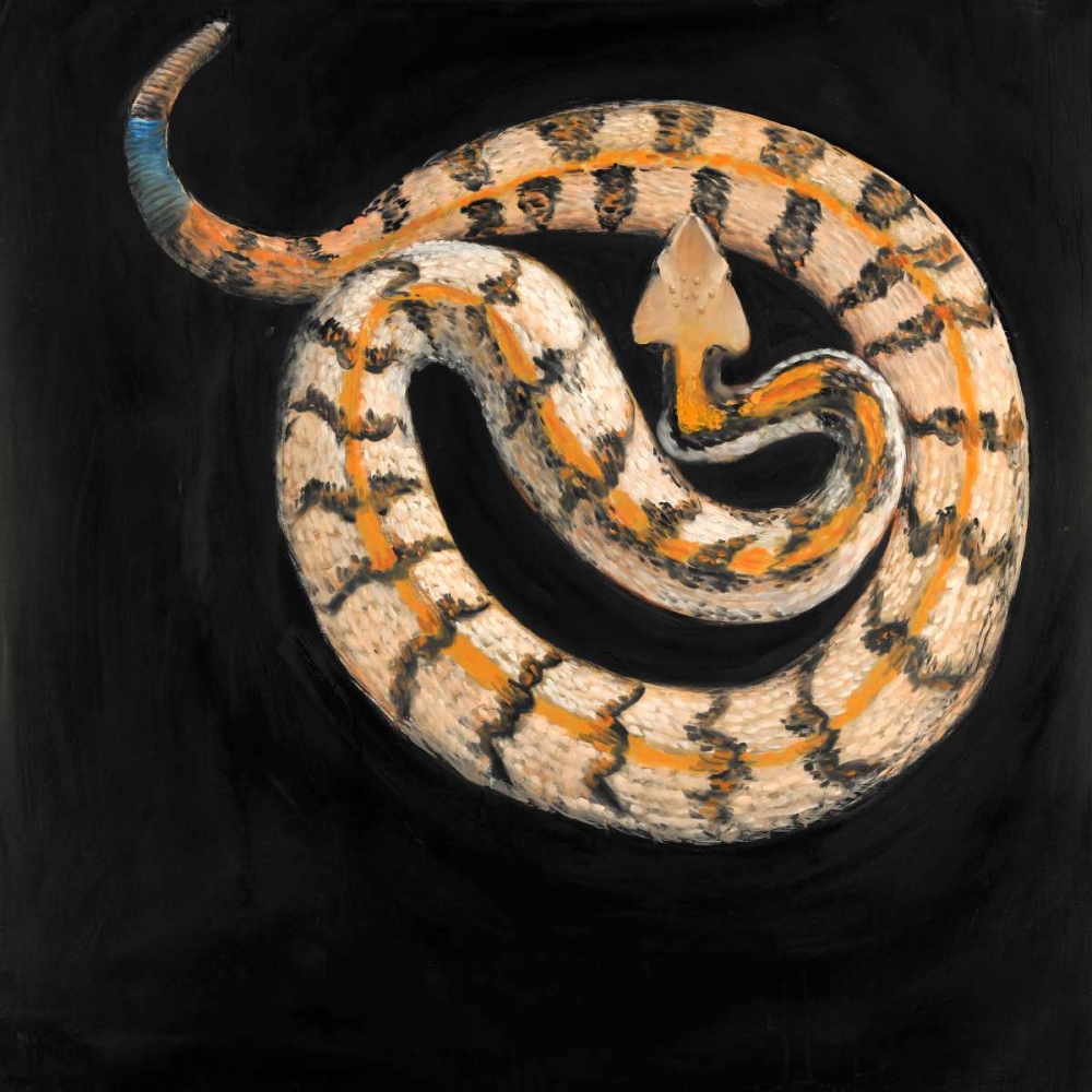 Snake Coiled art print by Atelier B Art Studio for $57.95 CAD