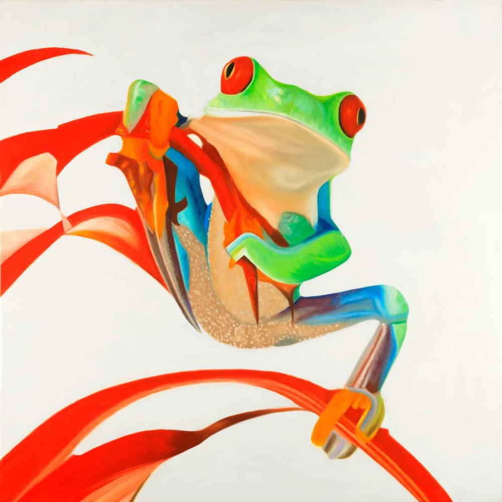 Red-eyed Frog art print by Atelier B Art Studio for $57.95 CAD