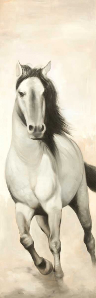 Graceful Horse art print by Atelier B Art Studio for $57.95 CAD