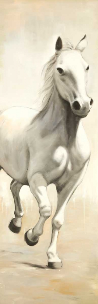 Gallant White Horse art print by Atelier B Art Studio for $57.95 CAD
