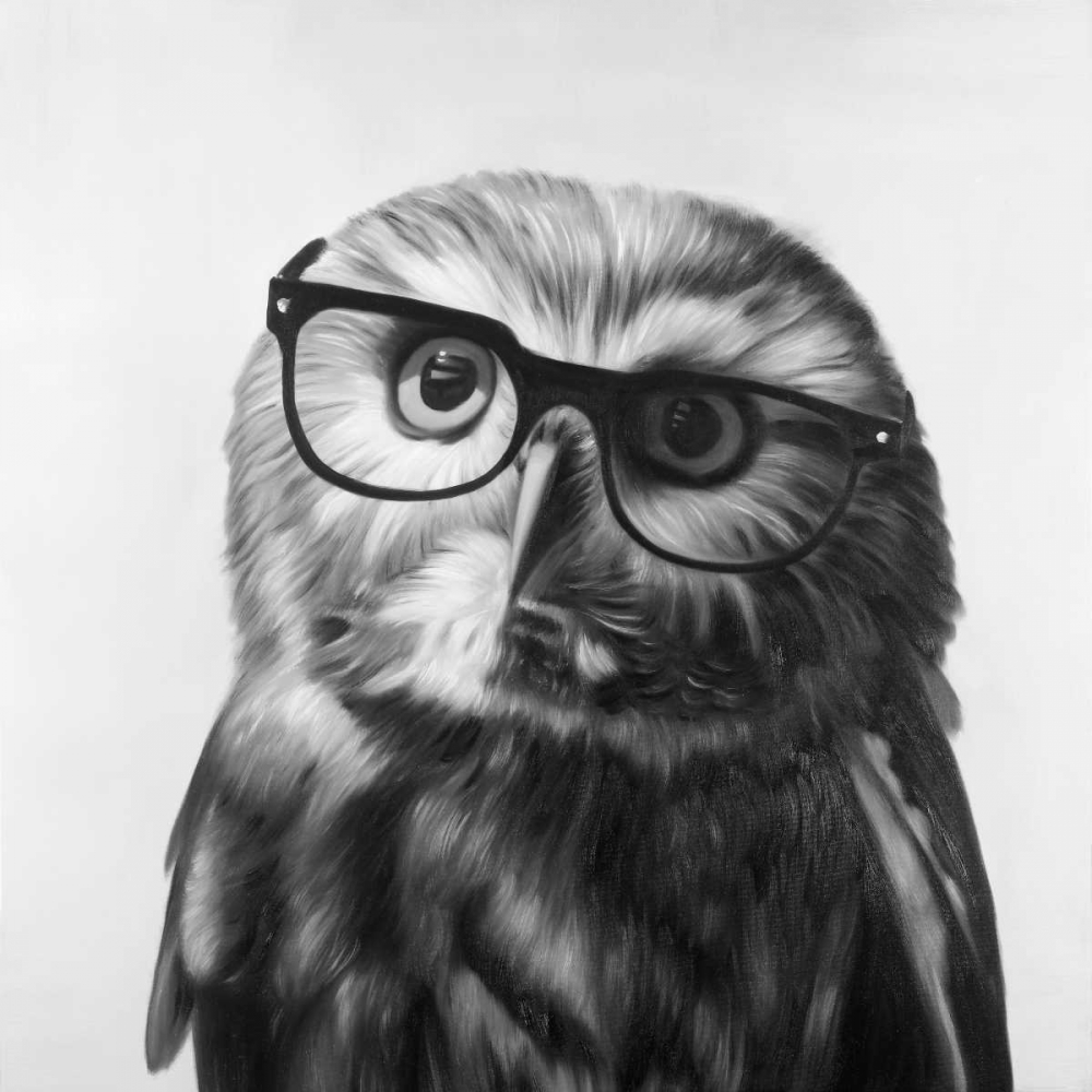 Realistic Northern Saw-whet Owl with Glasses art print by Atelier B Art Studio for $57.95 CAD