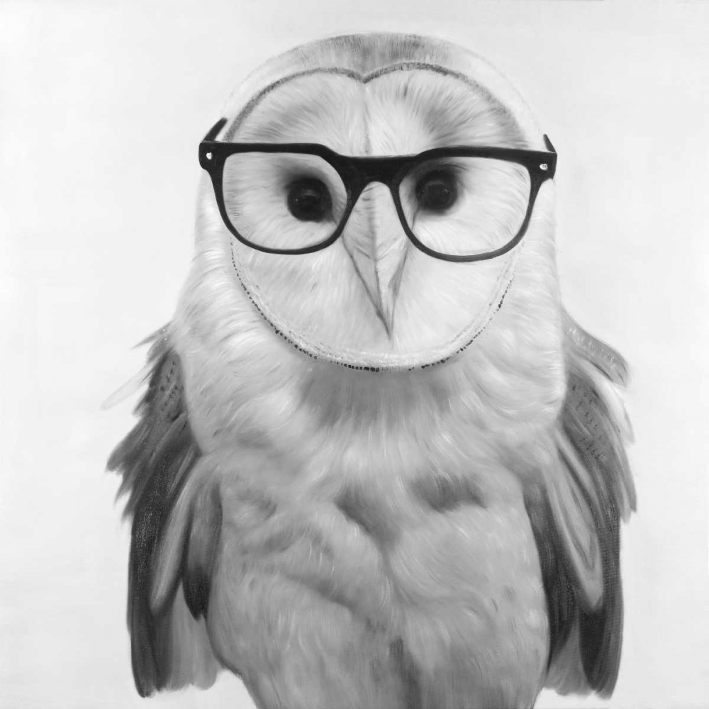 Realistic Barn Owl with Glasses art print by Atelier B Art Studio for $57.95 CAD