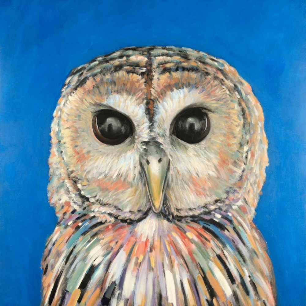Colorful Spotted Owl art print by Atelier B Art Studio for $57.95 CAD