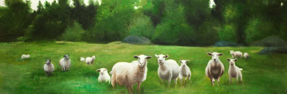 Fields of Sheep art print by Atelier B Art Studio for $57.95 CAD