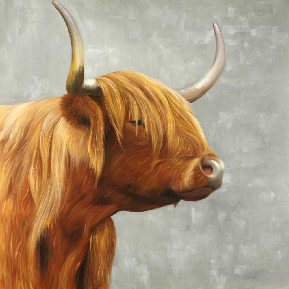 Beautiful Higland Cattle art print by Atelier B Art Studio for $57.95 CAD