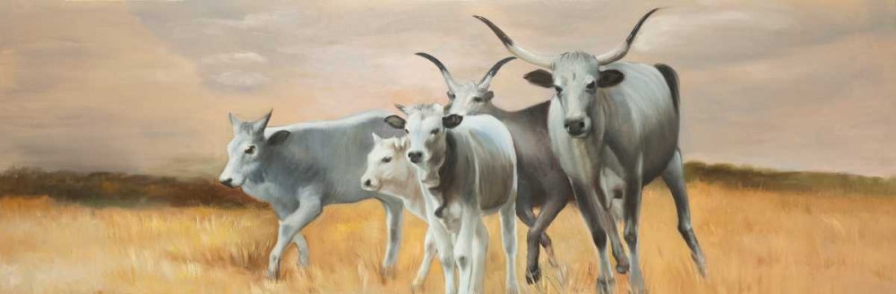 Nguni Cattle art print by Atelier B Art Studio for $57.95 CAD