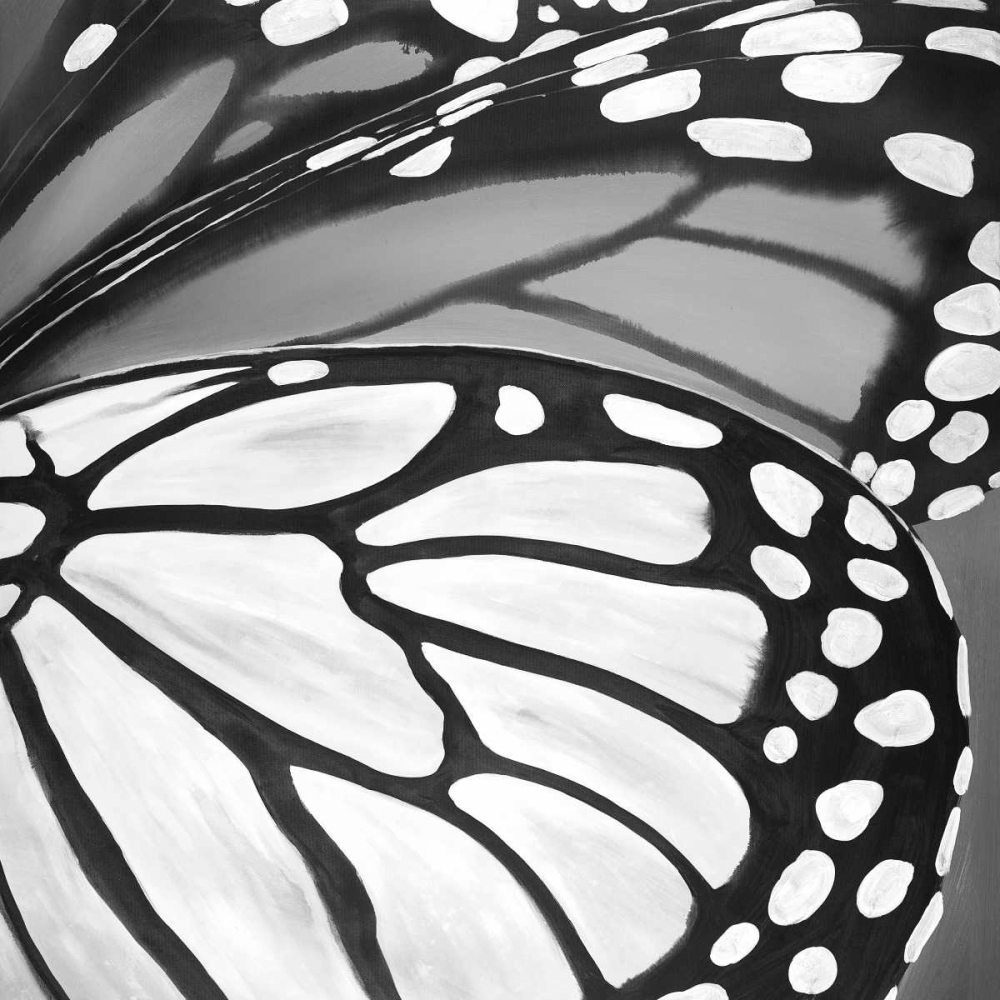 Black and White Monarch art print by Atelier B Art Studio for $57.95 CAD