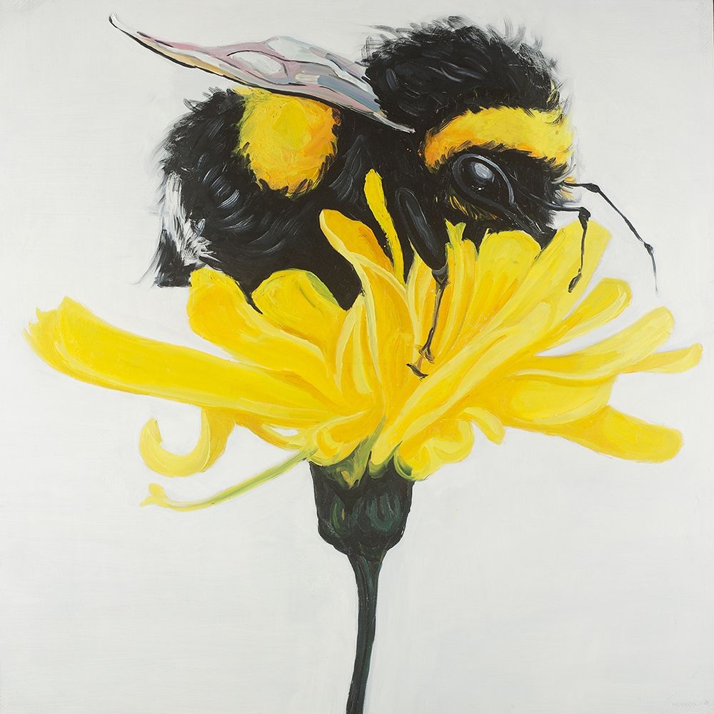 Hungry Bumblebee on a Dandelion art print by Atelier B Art Studio for $57.95 CAD