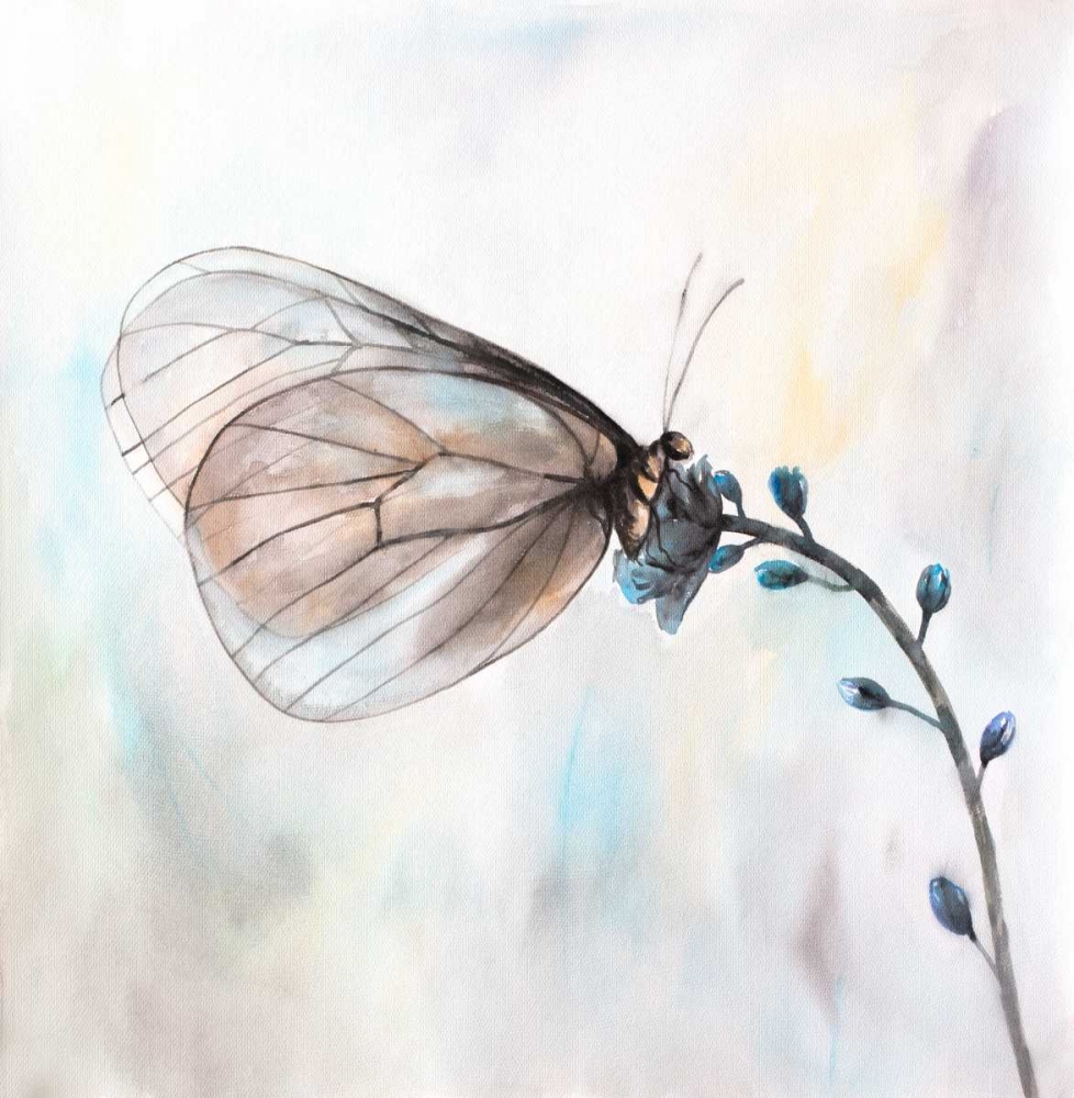 Aporia Crataegi Butterfly art print by Atelier B Art Studio for $57.95 CAD