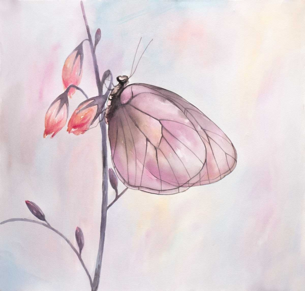 Watercolor Butterfly art print by Atelier B Art Studio for $57.95 CAD