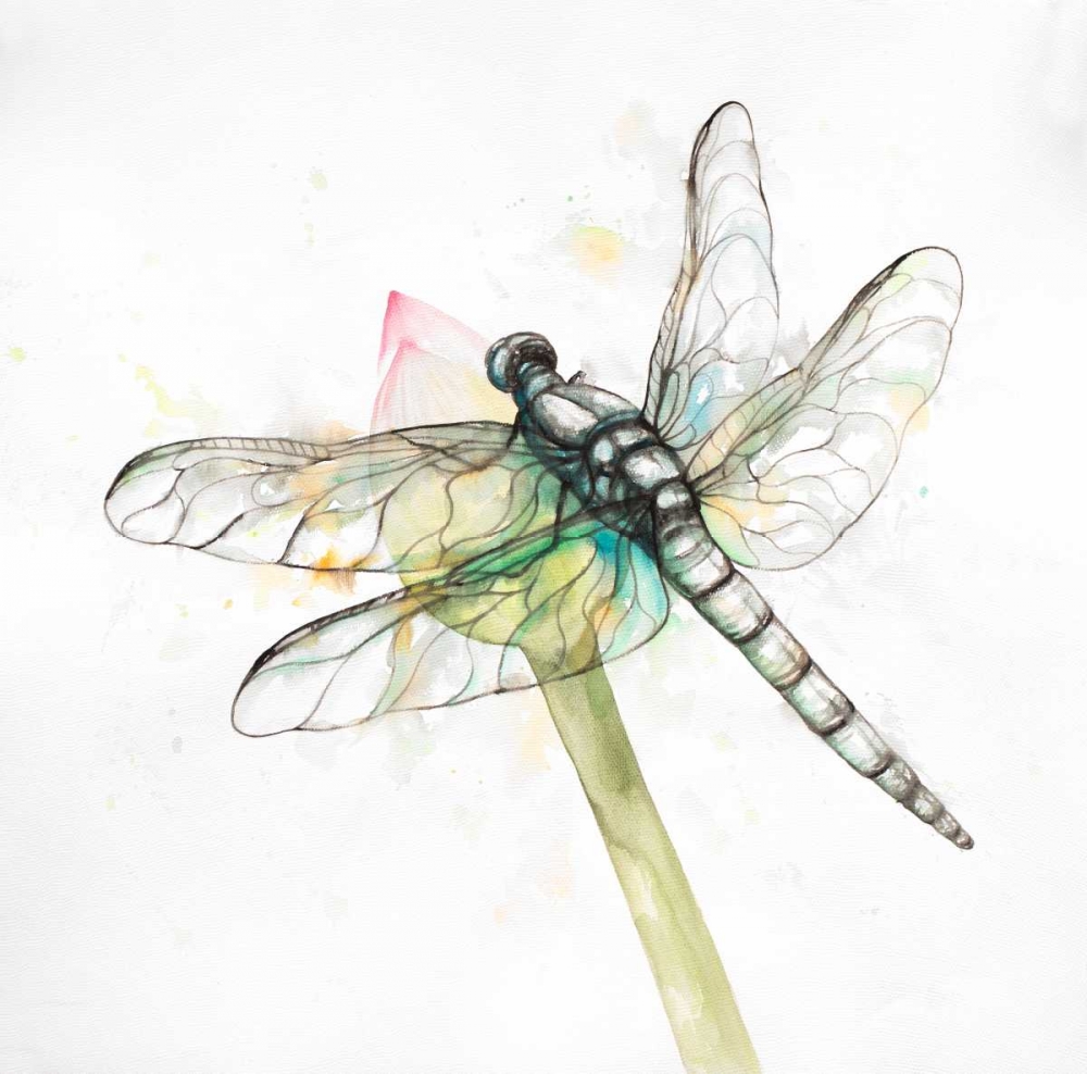 Dragonfly on a Flower Bud art print by Atelier B Art Studio for $57.95 CAD