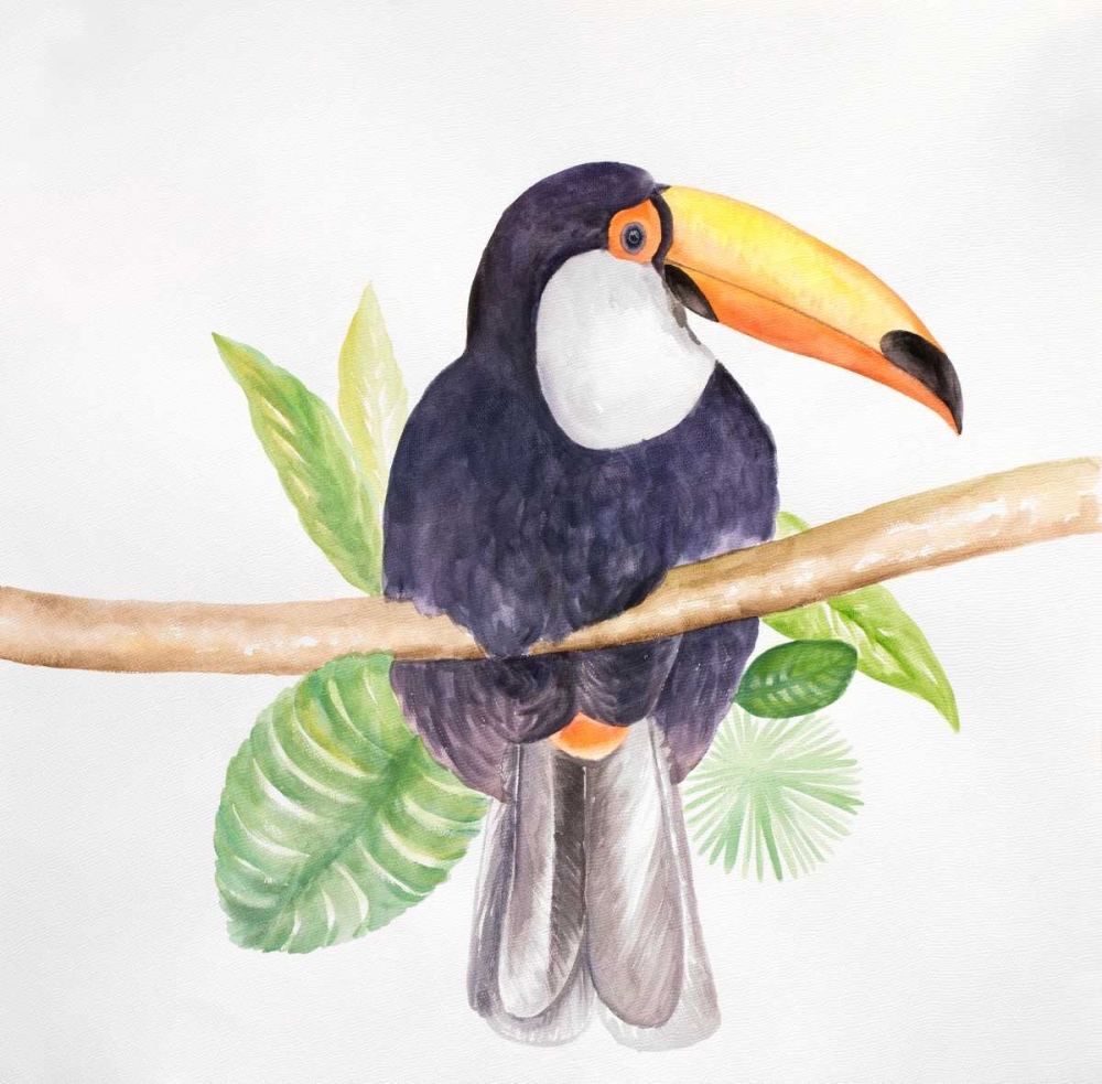 Toucan Bird art print by Atelier B Art Studio for $57.95 CAD