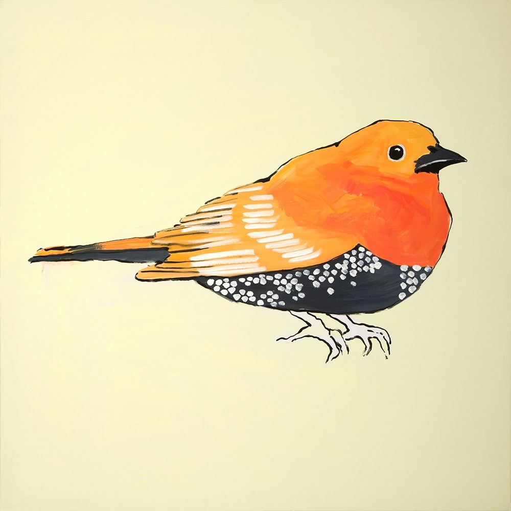 LITTLE ORANGE BIRD ILLUSTRATION art print by Atelier B Art Studio for $57.95 CAD