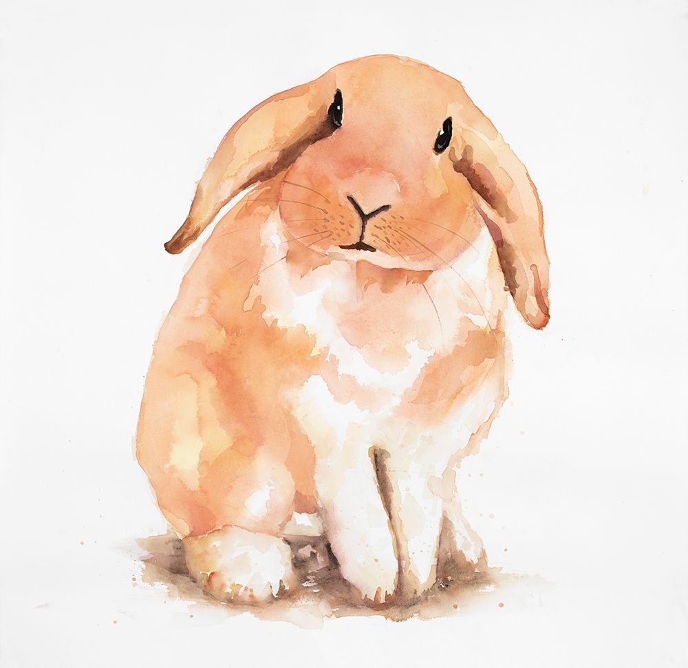 Fuzzy Lop Rabbit art print by Atelier B Art Studio for $57.95 CAD