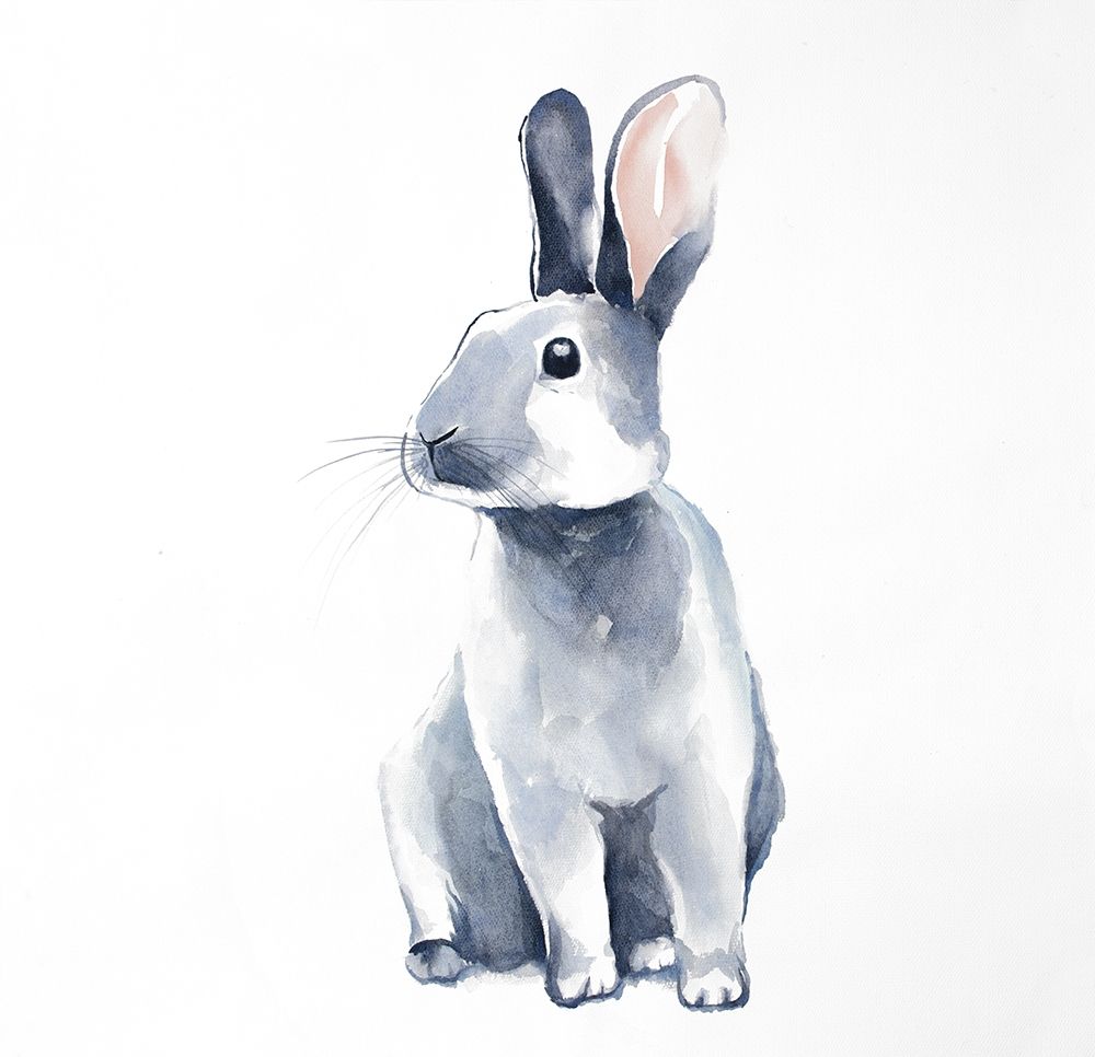 Curious Rex Rabbit art print by Atelier B Art Studio for $57.95 CAD