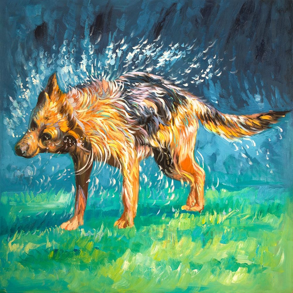 SPIN-DRY WET GERMAN SHEPHERD art print by Atelier B Art Studio for $57.95 CAD