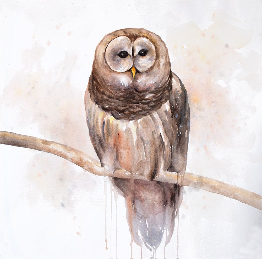Owl on a Branch art print by Atelier B Art Studio for $57.95 CAD