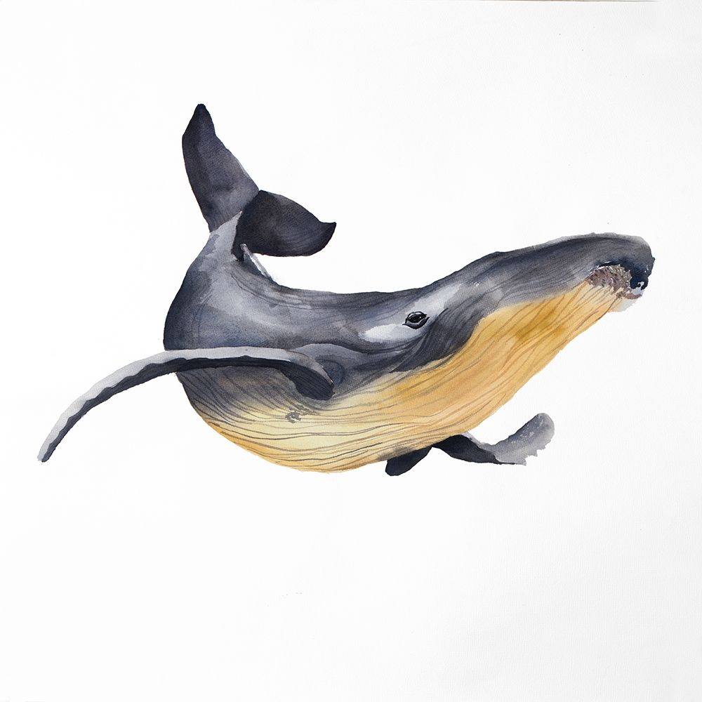 BLUE WHALE art print by Atelier B Art Studio for $57.95 CAD