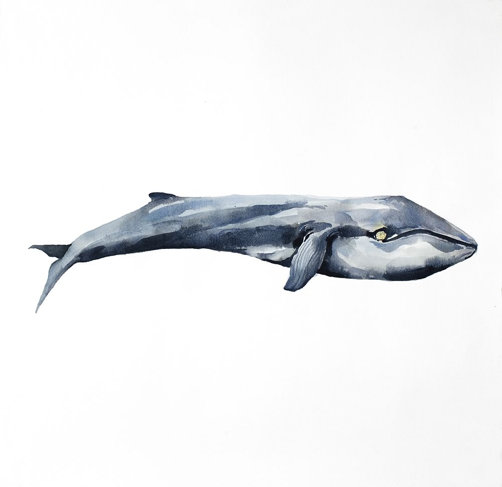 WATERCOLOR WHALE art print by Atelier B Art Studio for $57.95 CAD