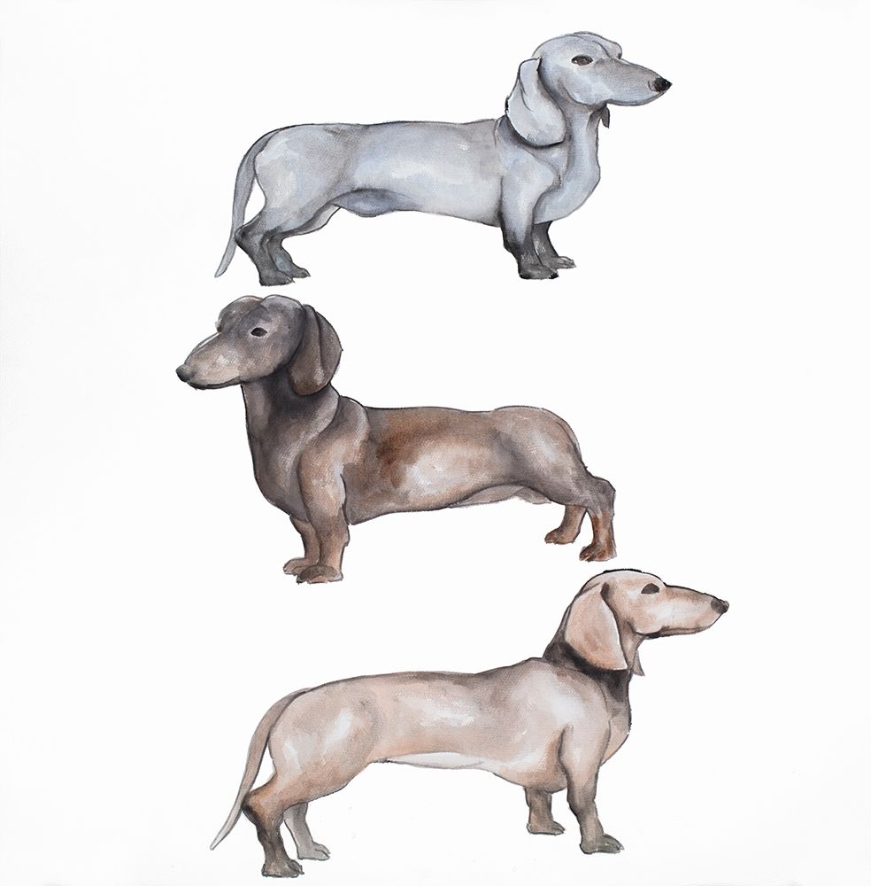 Dachshund Dogs Trio art print by Atelier B Art Studio for $57.95 CAD