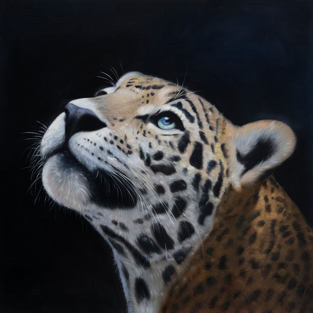 REALISTIC LEOPARD FACE art print by Atelier B Art Studio for $57.95 CAD