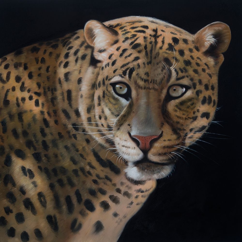 REALISTIC FIERCE LEOPARD art print by Atelier B Art Studio for $57.95 CAD