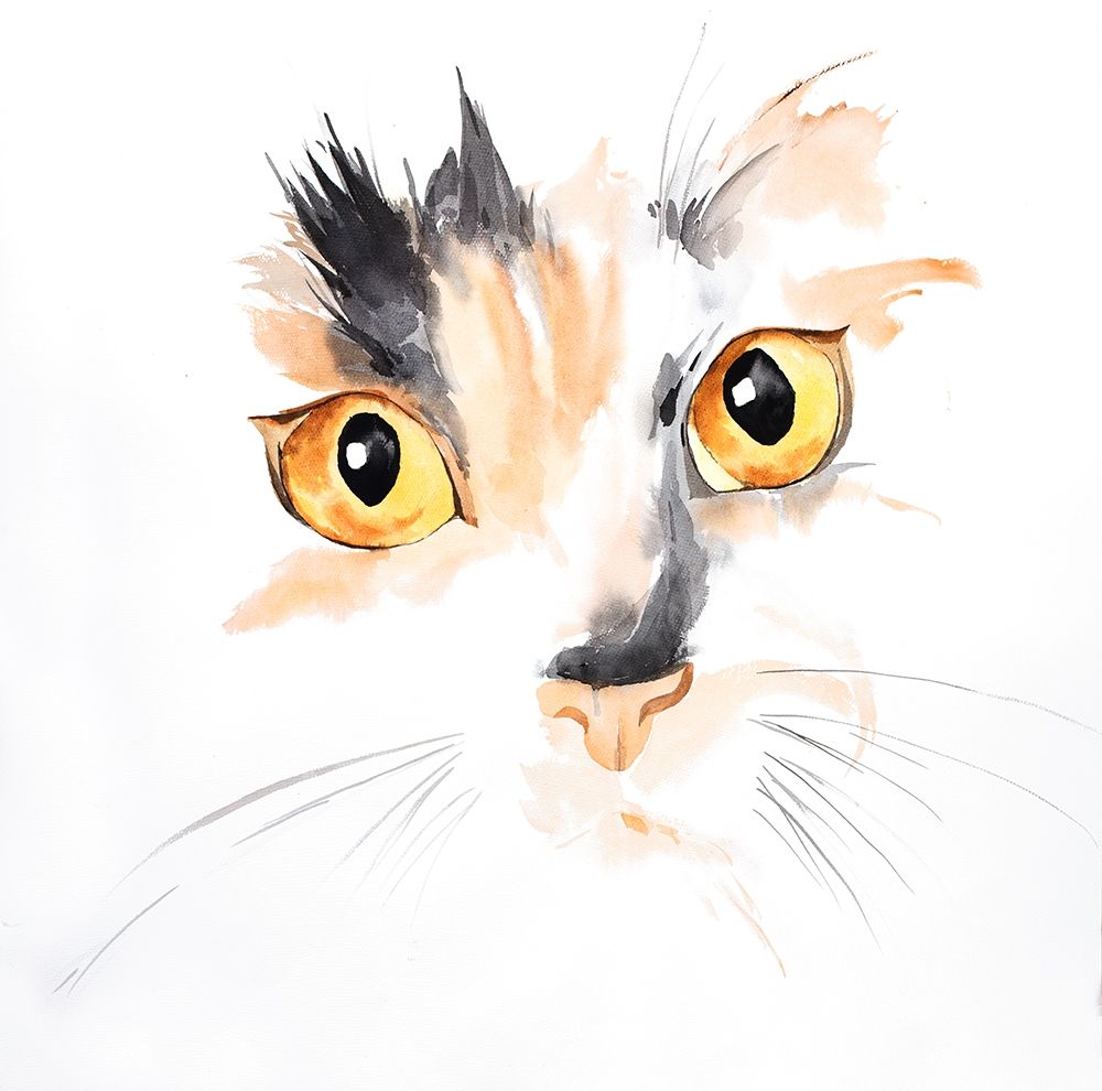 WATERCOLOR CAT FACE CLOSEUP art print by Atelier B Art Studio for $57.95 CAD