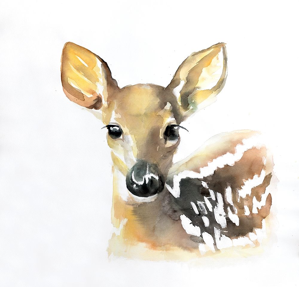 WATERCOLOR FAWN FACE art print by Atelier B Art Studio for $57.95 CAD