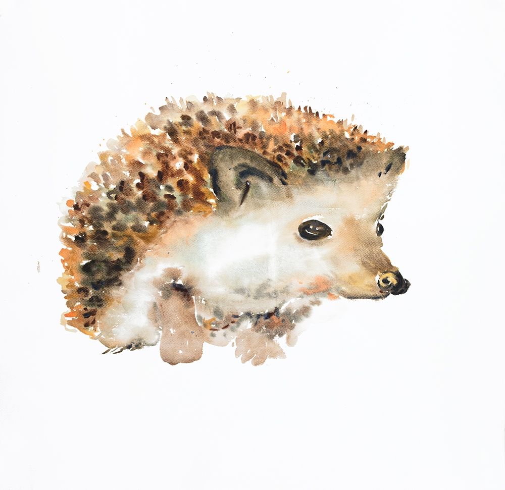 WATERCOLOR HEDGEHOG art print by Atelier B Art Studio for $57.95 CAD