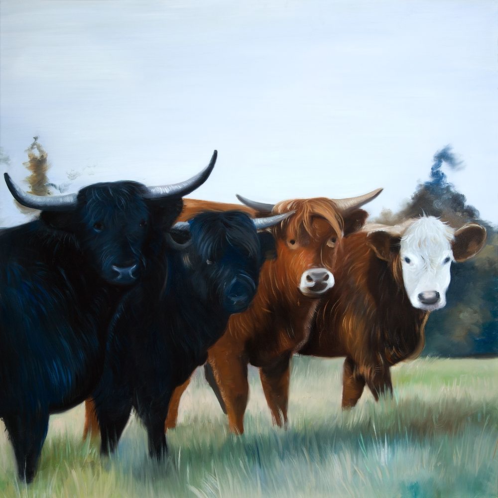 FOUR HIGHLAND COWS art print by Atelier B Art Studio for $57.95 CAD