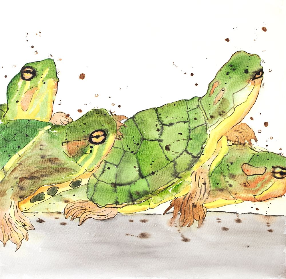 SMALL AQUATIC TURTLES art print by Atelier B Art Studio for $57.95 CAD