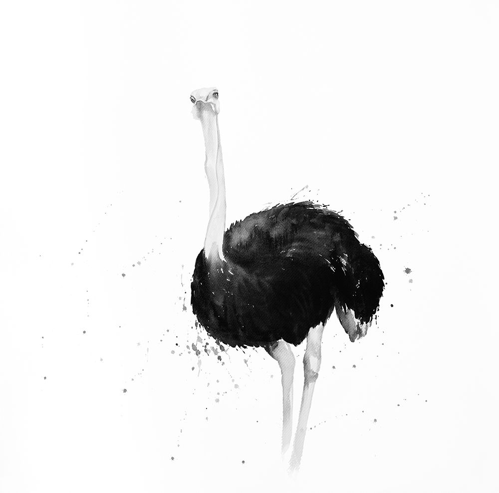 OSTRICH IN WATERCOLOR art print by Atelier B Art Studio for $57.95 CAD