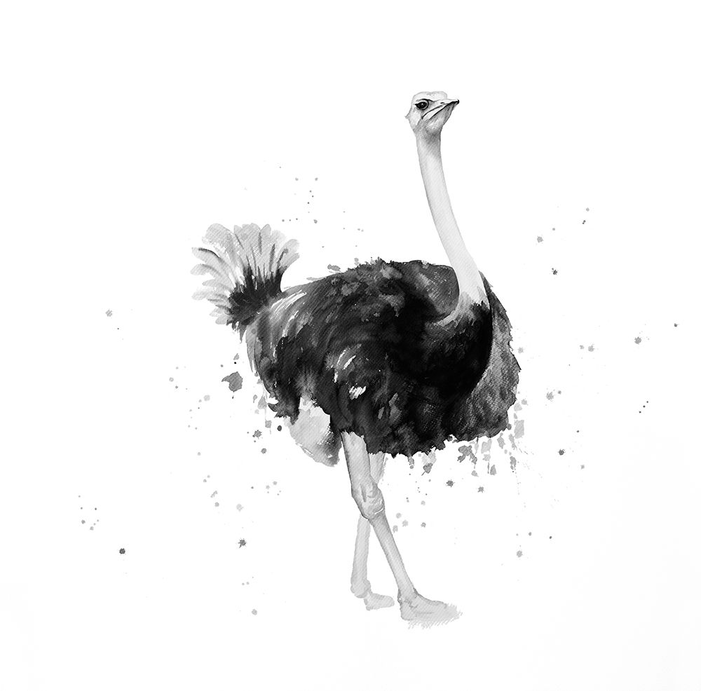 PROUD OSTRICH art print by Atelier B Art Studio for $57.95 CAD