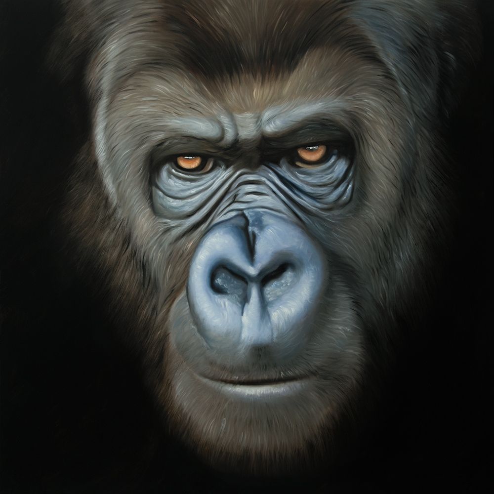 GORILLA FACE art print by Atelier B Art Studio for $57.95 CAD